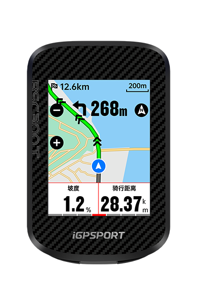 BSC300T码表