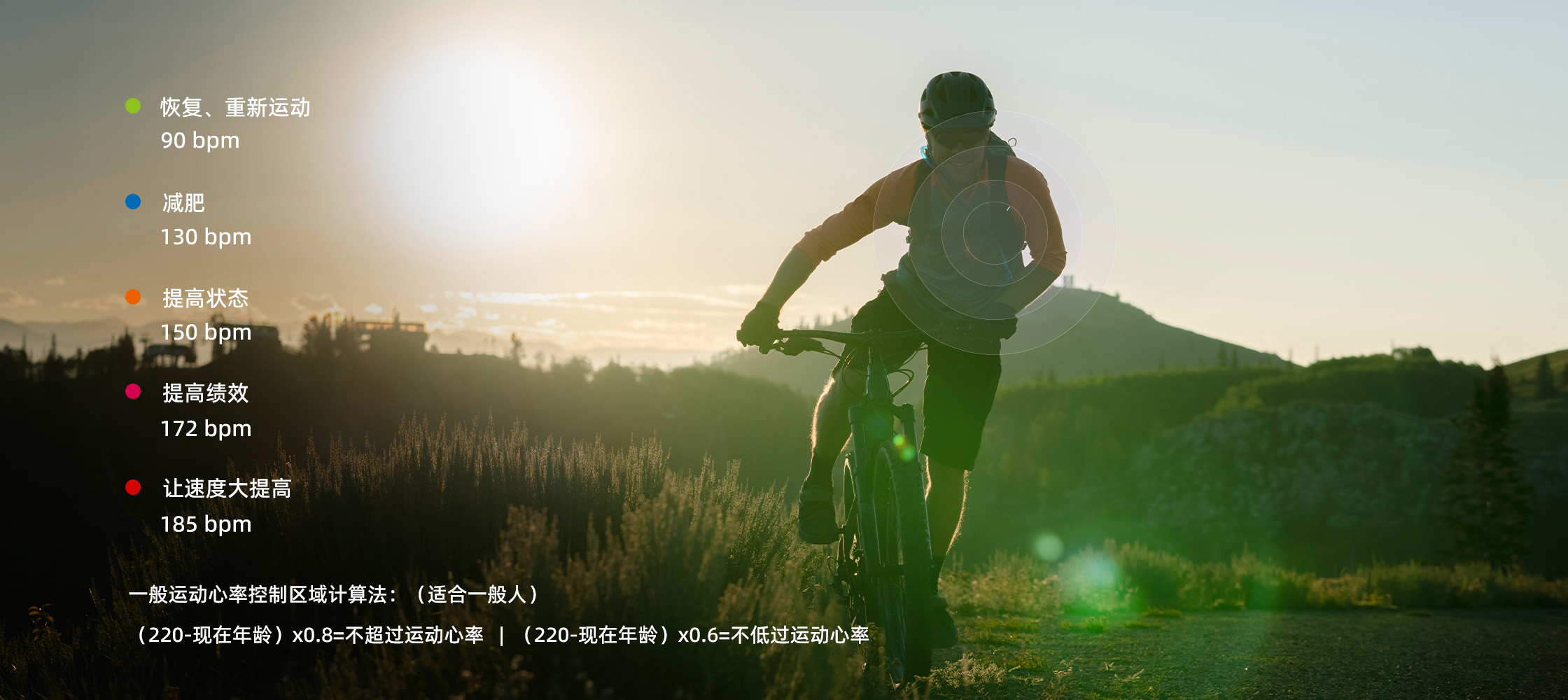 HR40实时检测心率